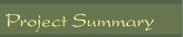 Project
